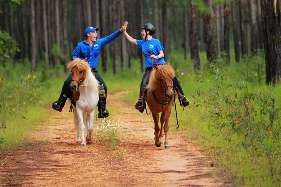 All-Inclusive Retreat For 4 Plus 30 Days Of Horse Training For 1 Horse!