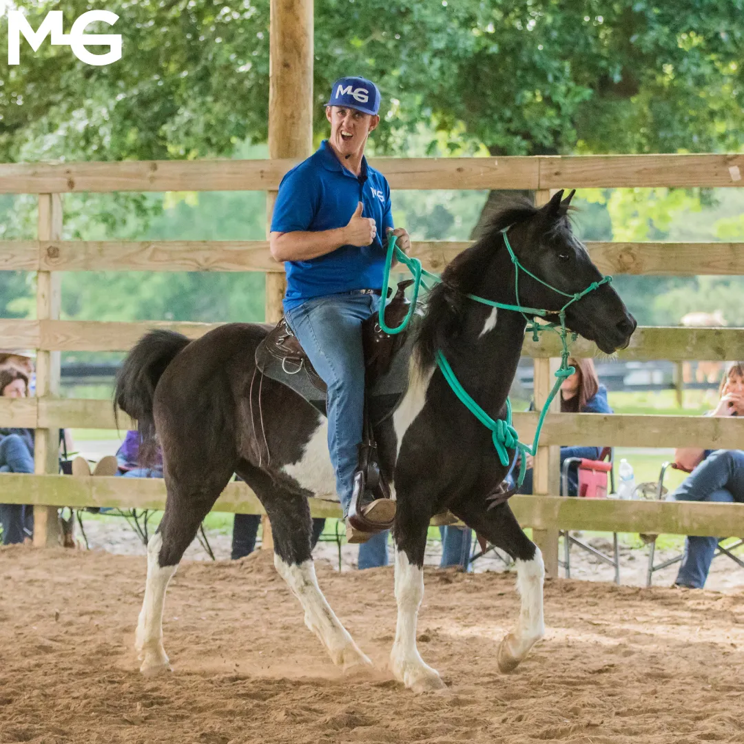 All-Inclusive Retreat For 4 Plus 30 Days Of Horse Training For 1 Horse!