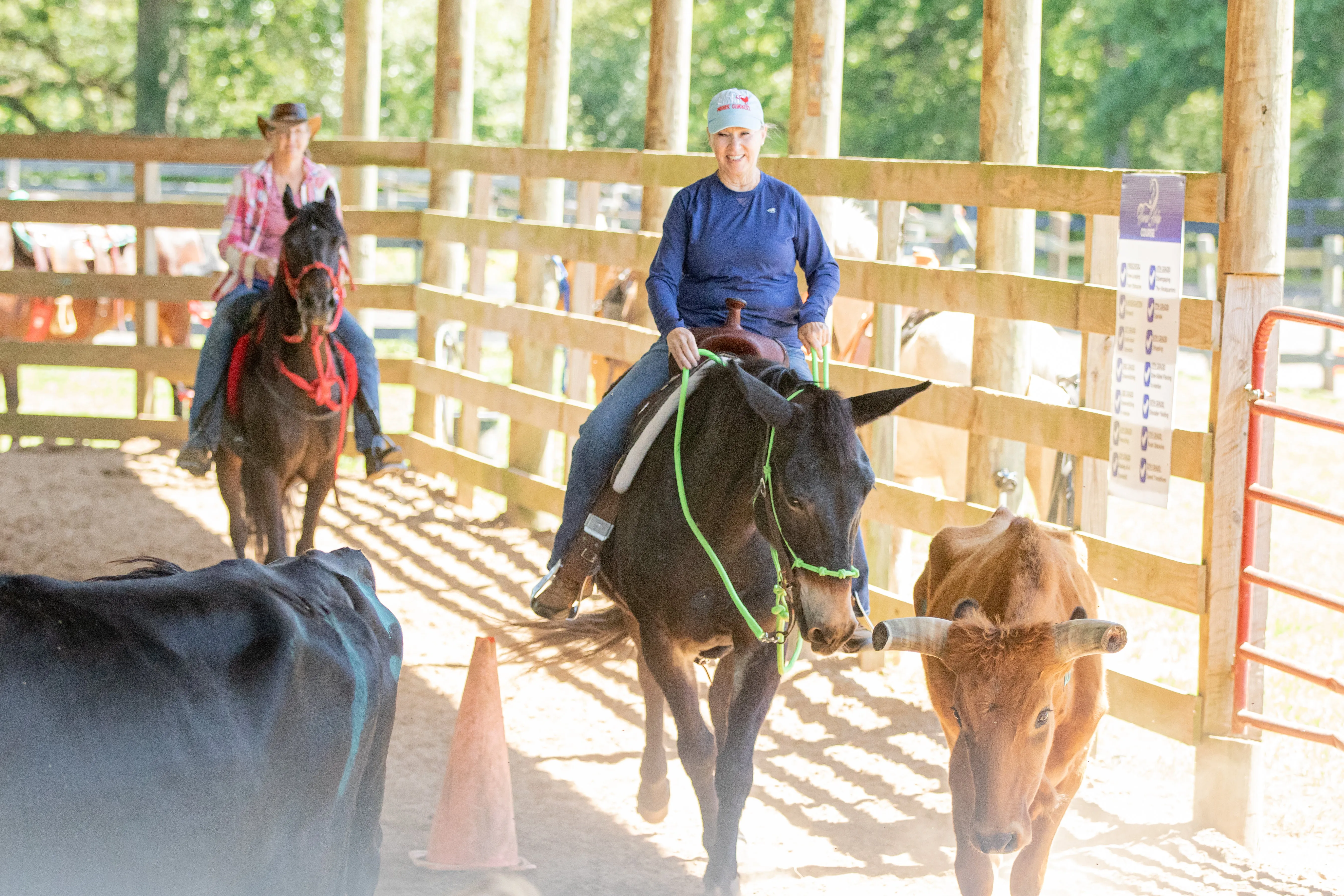 All-Inclusive Retreat For 4 Plus 30 Days Of Horse Training For 1 Horse!