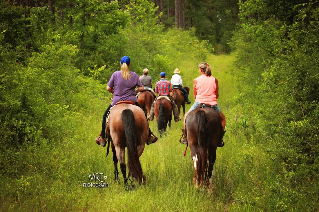 All-Inclusive Retreat For 4 Plus 30 Days Of Horse Training For 1 Horse!