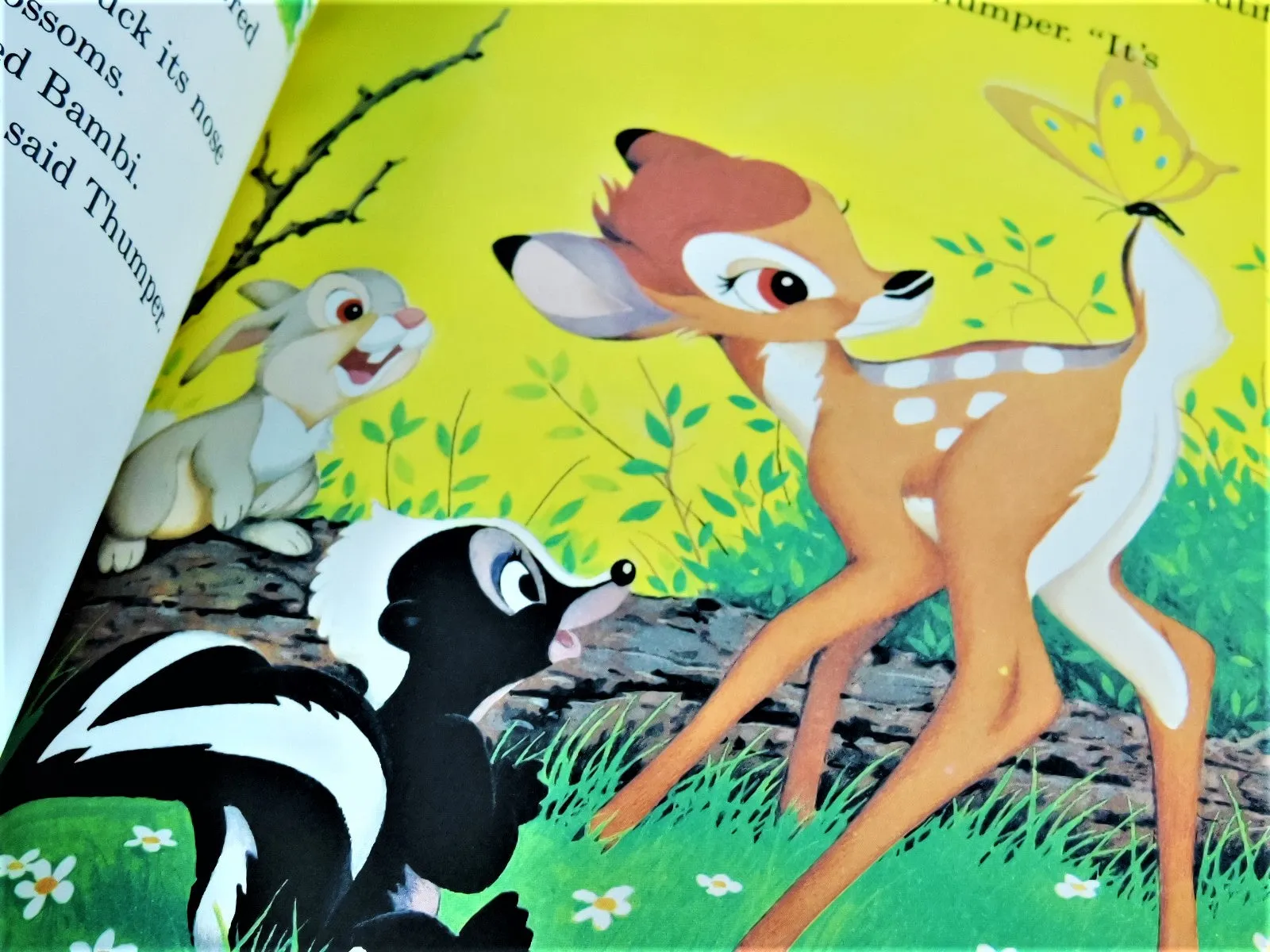 Children's Book - Walt Disney's - Bambi Grows Up